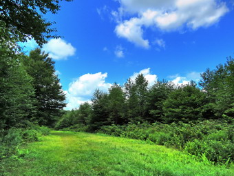 picture taken during a hike