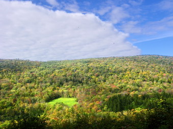 picture taken during a hike