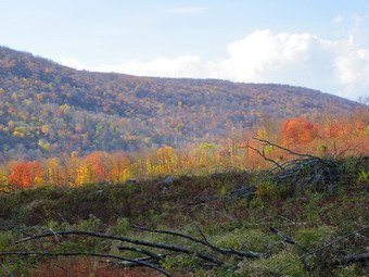 picture taken during a hike