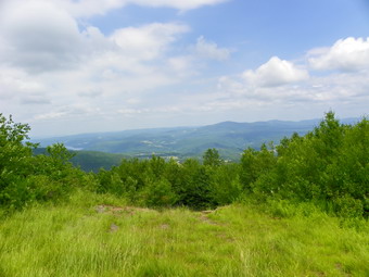 picture taken during a hike