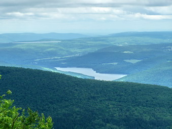 picture taken during a hike