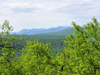 picture taken during a hike