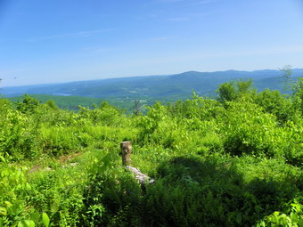 picture taken during a hike