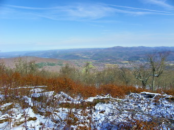 picture taken during a hike