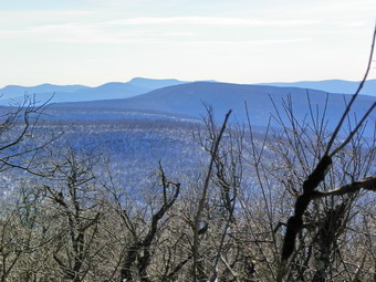 picture taken during a hike