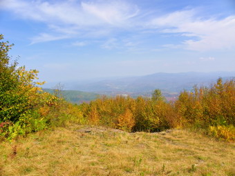 picture taken during a hike