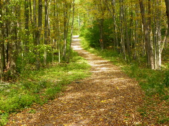 picture taken during a hike