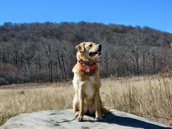 picture taken during a hike