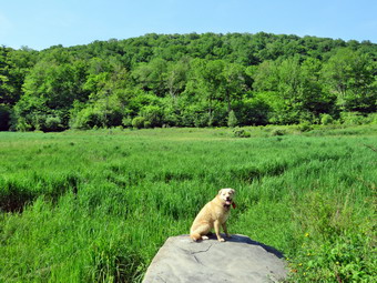 picture taken during a hike