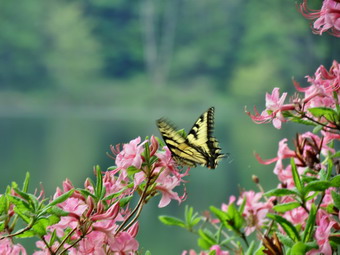 picture taken during a hike