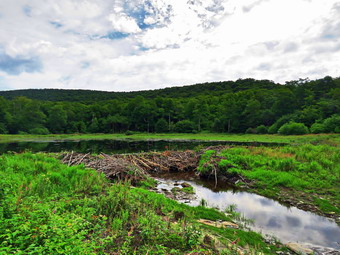 picture taken during a hike