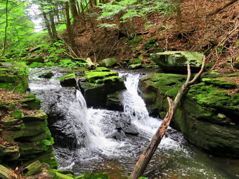 picture taken during a hike