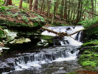 picture taken during a hike