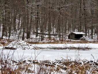 picture taken during a hike