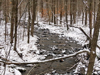 picture taken during a hike