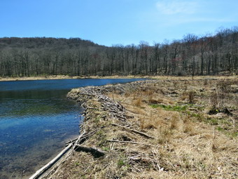 picture taken during a hike