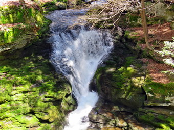 picture taken during a hike