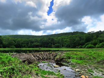 picture taken during a hike