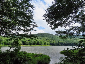 picture taken during a hike