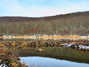 picture taken during a hike