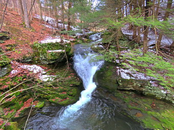 picture taken during a hike