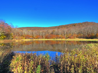 picture taken during a hike