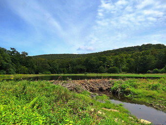 picture taken during a hike