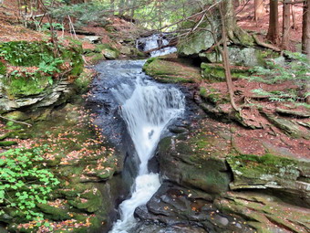 picture taken during a hike