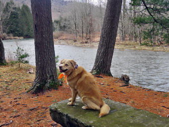 picture taken during a hike