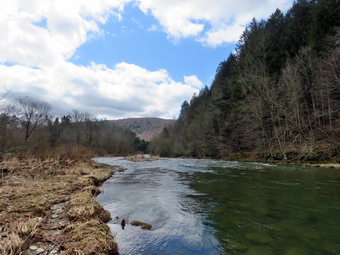 picture taken during a hike