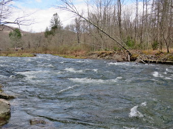 picture taken during a hike