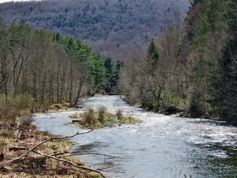 picture taken during a hike