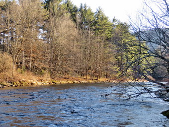 picture taken during a hike