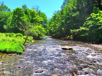 picture taken during a hike