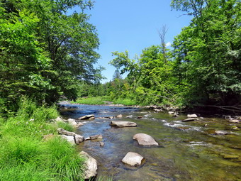 picture taken during a hike