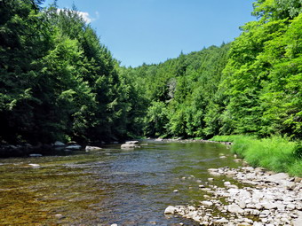 picture taken during a hike