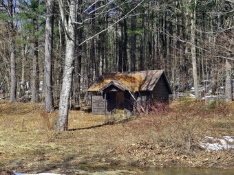 picture taken during a hike