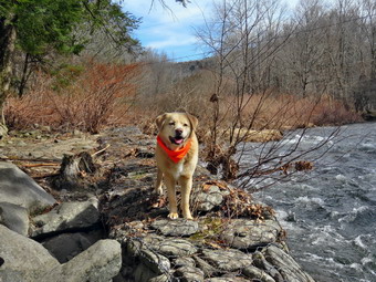 picture taken during a hike