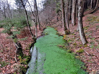 picture taken during a hike