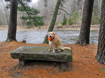 picture taken during a hike