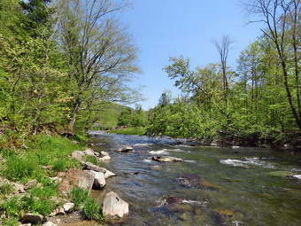 picture taken during a hike