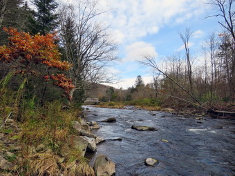 picture taken during a hike