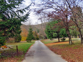 picture taken during a hike