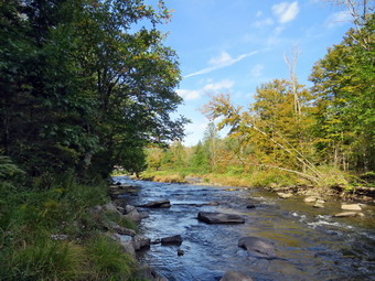 picture taken during a hike