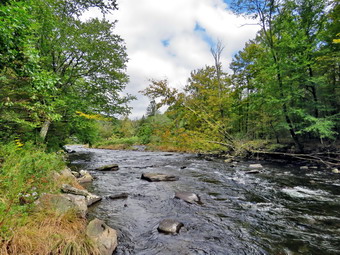 picture taken during a hike