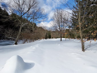 picture taken during a hike