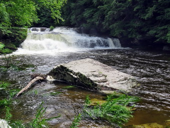 picture taken during a hike