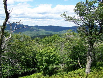 picture taken during a hike