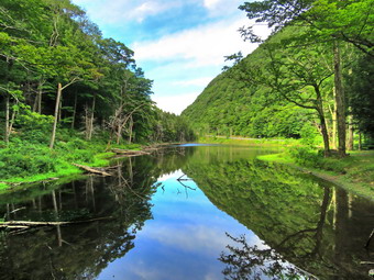 picture taken during a hike