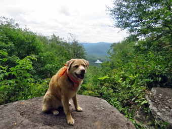 picture taken during a hike